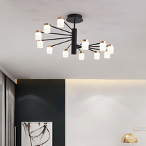 Nordic living room ceiling chandelier black light stand creative personality bedroom light remote control dimming color change 2019 new