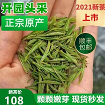 2021 New tea listed Mingqian premium buds supreme head pick authentic Anji white tea Green tea 50g Yu Zi Heng