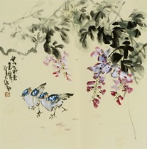 Y21 three-foot bucket freehand Flower and Bird (85) Chinese painting wisteria bird calligraphy and painting hand-painted