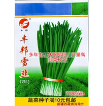 Fengbang snow leek seeds 791 leek seeds heat-resistant and cold-resistant perennial multi-stubble harvested vegetable seeds Lvfeng garden 10 grams