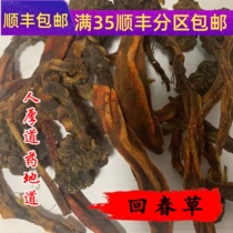 Tongrentang quality Chinese herbal medicine Back to spring grass 50 gr can be powder-free smoked full