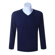 ROMASTER Romans Mens V-neck Long Sleeve Comfortable Breathable Pure Color Knit Sweater R1M50030