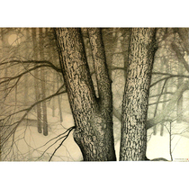 Cheng Zonghans Silent Mountain Mountain paper This new steel stroke