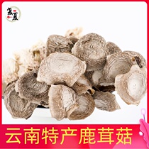 Deer antler mushroom Deer antler mushroom Premium dry goods 500g mince-free Yunnan authentic deer antler mushroom fresh edible fungus