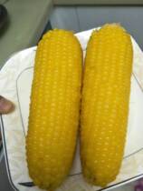 Frozen Great Dong boutique Heilongjiang cold ground black earth yellow glutinous frozen corn flavor intense non-GMO 20