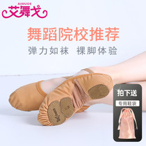 Adult Dance Shoes Women Soft-bottom Exercises Shoes Cat Paw Dancing Shoes Professional Yoga Body Shoes Folk Dance Ballet Shoes