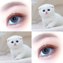 Buy one get a cat eye beauty pupil year throw mixed blood Net red size diameter Europe and the United States half a year throw blue Ai Charm K