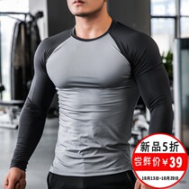 Lan Iron Wolf sports tights mens long sleeve fitness suit quick-drying breathable sweat-absorbing running training base coach shirt