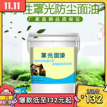 Real Stone Paint Cover Glossy Surface Oil-Water High Light External Wall Transparent Varnish Indoor Culture Stone Silicon Algae Mud Cover Face Agent Matt Light