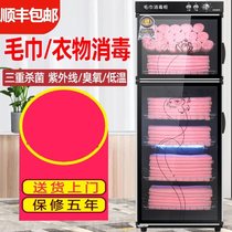Double Door Disinfection Cabinet Commercial Pair Open Door Wet Thermoelectric Steam Box Home Small Standing Foot Therapy Shop Towel Heating Cabinet