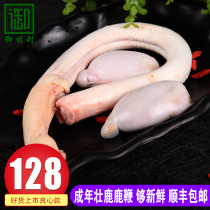 Deer whip whole root fresh whole fresh deer whip male male male Jilin plum deer whip whole root Shunfeng