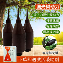 Guoguang Tree Nutrient Solution Tree Power Sprouting Liquid Transplanting Pro-Germination Enabling Live Suspension Needle Liquid Big Tree Inserted Bottle