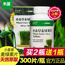 Hebei Wheat Grass Juice Concentrate Millet Tablets 300 Fresh Wheat Seedling Juice Extract Powder Green Juice Tablets