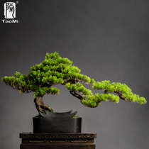 Pottery fan home simulation welcome pine bonsai decoration model room soft green planting porch office Zen decorations