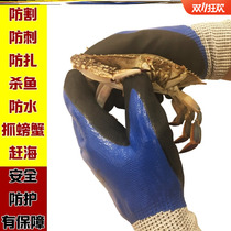 Special gloves for rushing to the sea to sell seafood aquatic products stab-proof waterproof and wear-resistant outdoor catching crabs anti-clamping cutting vegetables anti-cutting tools