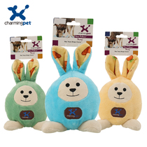 Sidewalk Side Shepherd American Kitt CharmingPet pooch toy with bite-and-teeth pets vocal training puzzle