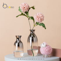 Nordic creative transparent glass vase small caliber water fresh flowers flower arrangement simple living room small ornaments decoration