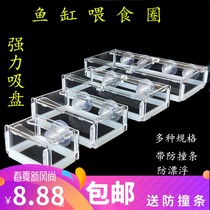 Fish tank acrylic fish food feeding ring anti-floating feeder feeding ring fixed point feeding ring large fish turtle