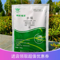 Shenyun Round Root - Root Fruit Tree Flower Tree Transfer Prevents Plant Rough Seeds Green Conservation Products