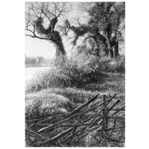 Liu Hongjun The Sheng Sheng paper This new steel stroke takes a group photo