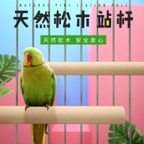 Parrot claw grinding tooth stick Myrna Gabe thrush bird solid wood station stick stand bird cage accessories