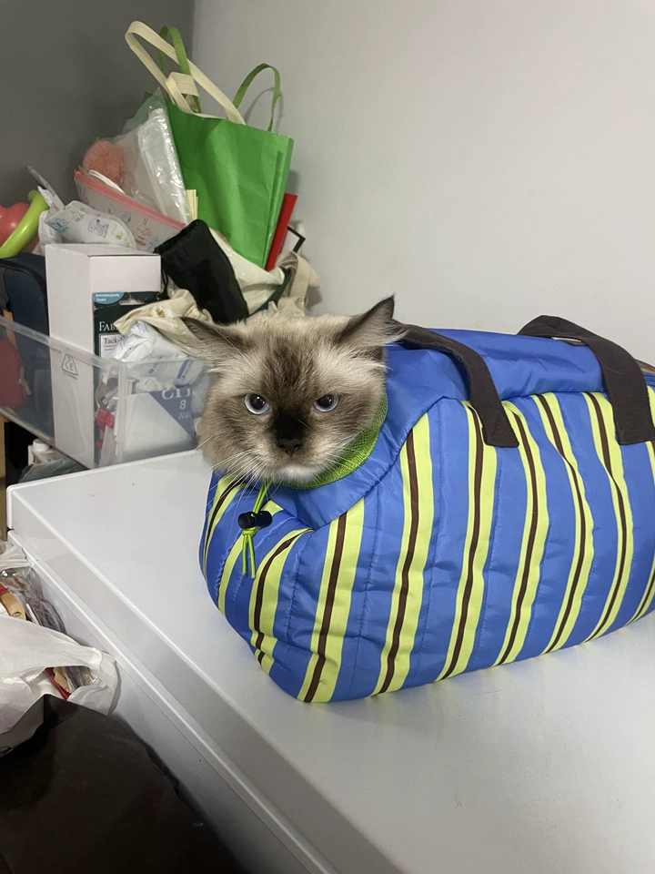 Tmall buyer photo