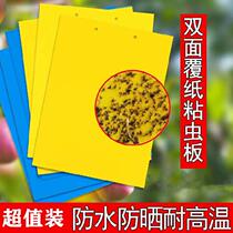 Trapping plate sticked aphids Potted plant tea garden insect repellent Insect Repellent Greenhouse Cardboard Adhesive Home Orchard Various Pests