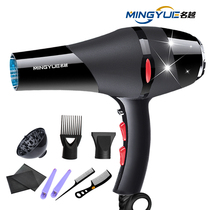 Hair salon special hair dryer female household high-power professional hot and cold wind does not hurt the ion Blower