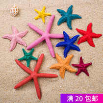 Resin simulation steamed bun starfish shell creative Mediterranean style home decoration hanging wall decoration