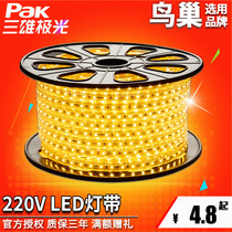  Sanxiong Aurora LED light with living room ceiling dark slot decoration household outdoor super bright waterproof 220v long soft belt