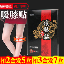 Ai leaves knee pain stickers warm stickers cold warm stickers treasure stickers knee joint pain stickers