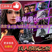 HT HotToys1 6 MMS520 Alita Fighting Angel dream Alita movable doll