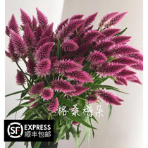 Fengwei Yunnan Kunming fresh cut flowers express multi-headed Fengwei grass flowers rose arrangement bouquet with flowers and grass air transport