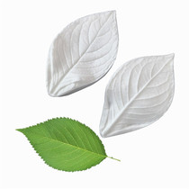 New Pint English-style emulated Sugar Flower Dry Pace Textured Silicone Mold Bread Flower Leaf Mold Large Leaf Universal