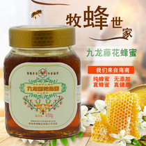 Honey Zhuo Jin Kowloon Vine Honey 450g Old beekeepers honey Liquid honey self-produced 