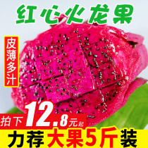Red heart dragon fruit big fruit 5kg real Hui fruit fresh season red dragon fruit red heart meat whole box 10