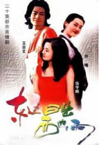 Disc player DVD (East Sunrise West Rain) Wang Zhiwen Xu Qing 20 episodes 2 discs