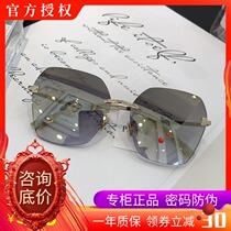 Pasa 2019 new sunglasses female boomer retro minimalist fashion big frame sunglasses star cobra PS2012