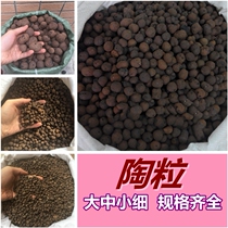 Microlandscape sewerage of carbon ball micro-landscape