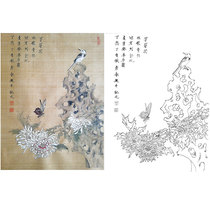 Gongbi painting white sketch background chrysanthemum Chu Yanchun retro style flowers and birds physical print size optional CY31