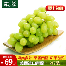 The United States imported seedless green 2kg fresh seedless green grapes seasonal fruit Shunfeng