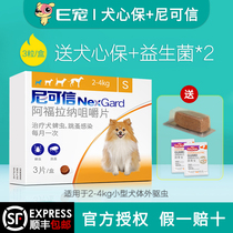 E pet NexGard Nicosin small dogs with oral dog in vitro anthelmintics to flea ticks 1 Box 3