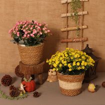 Handmade grass choreograpes basket rattan choreography Decorative Basket Livingroom Flower Arrangement Woven Flower Basket Dried Flower Pendulum Pieces Creative Fake Flower Flower Pots