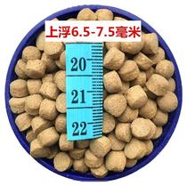 Heterotypic fish Small tropical fish fish food floating small particles of anchovies Fish Fish Fish Fish meat powder