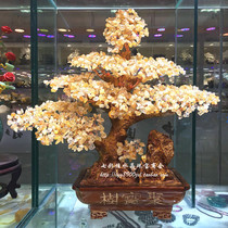 Citrine fortune tree cash cow collection treasure tree crystal tree home feng shui ornaments desktop porch TV cabinet wine cabinet