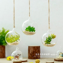 Simulation multi-meat plant decoration flower pot hanging decoration living-room wall pendant transparent glass micro-landscape hanging decoration inserts vase