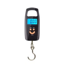 Commercial mini weighing portable electronic scale portable household kitchen Spring small scale express Hook scale luggage scale