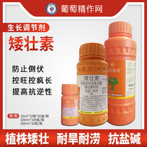 Guoguang 50% Dwarf prevent crazy growth wheat vegetable fruit trees control plant growth regulator