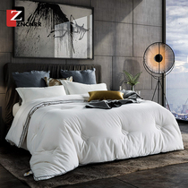 ZNCNRR quilt Autumn and winter quilt four seasons universal cotton thickened bedding quilt core warm 12 double quilt