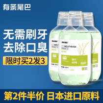 Structured tail kitty mouthwash with edible deodorant pooch Pet Cleaning Stones water Oral cleaning stones Supplies